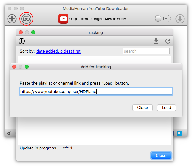 Link in den YouTube To MP3 Converter einfügen